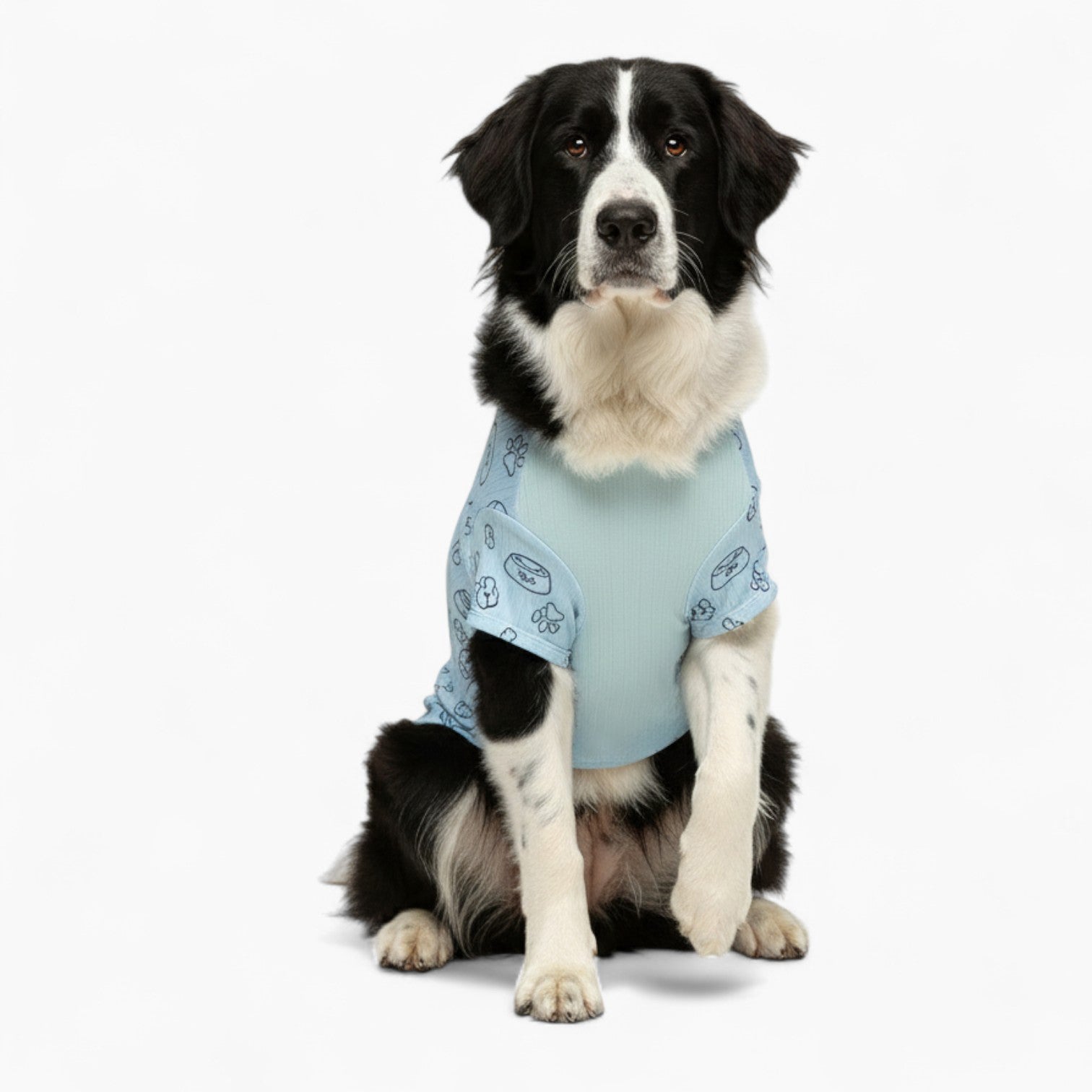 Snoopy - Dog  Wool Sweater