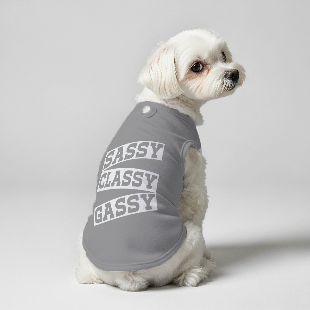 Sassy, Classy, Gassy  – Dog Shirt
