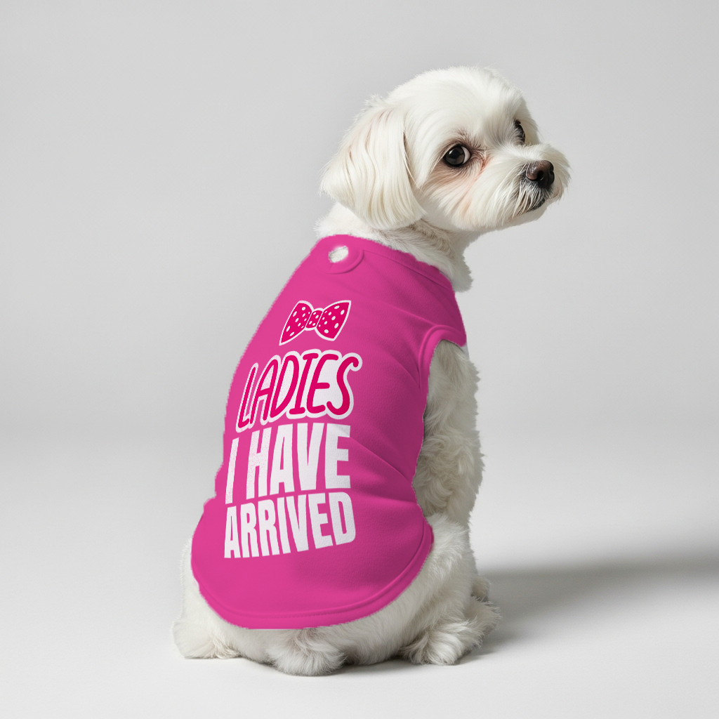 Ladies I HAVE ARRIVED  – Dog Shirt