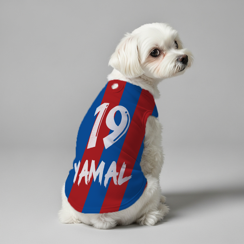 FOOTBLALL PLAYER – Personalized Dog Shirt featuring Name & Number