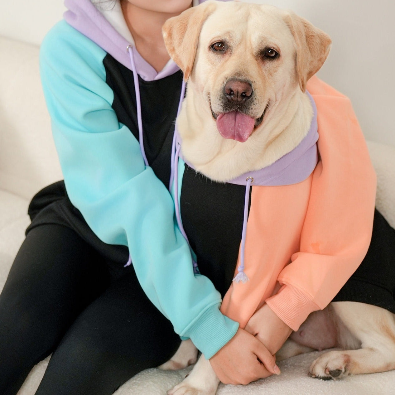 matching human and dog hoodies