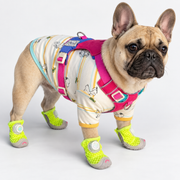 Dog Shoes – Non-Slip Summer Footwear for Active Paws
