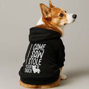 Corgi wearing an 'I Stole Your Snack' hoodie