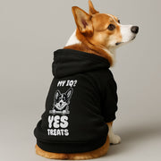Corgi wearing a 'My IQ? Yes, Treats' hoodie