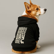Corgi wearing a 'Sassy Since Day One' hoodie