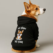 Corgi wearing a 'No Brain, Just Floof' hoodie