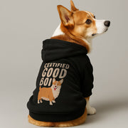 Corgi wearing a 'Certified Good Boi' hoodie
