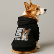 Corgi wearing a 'Corgi Inside, Chaos Outside' hoodie