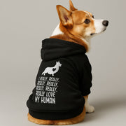 Corgi wearing an 'I Really Love My Human' hoodie