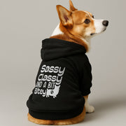 Corgi wearing a 'Sassy, Classy & a Bit Bitey' hoodie