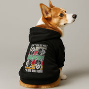 Corgi wearing a 'Can't You See Me?' hoodie