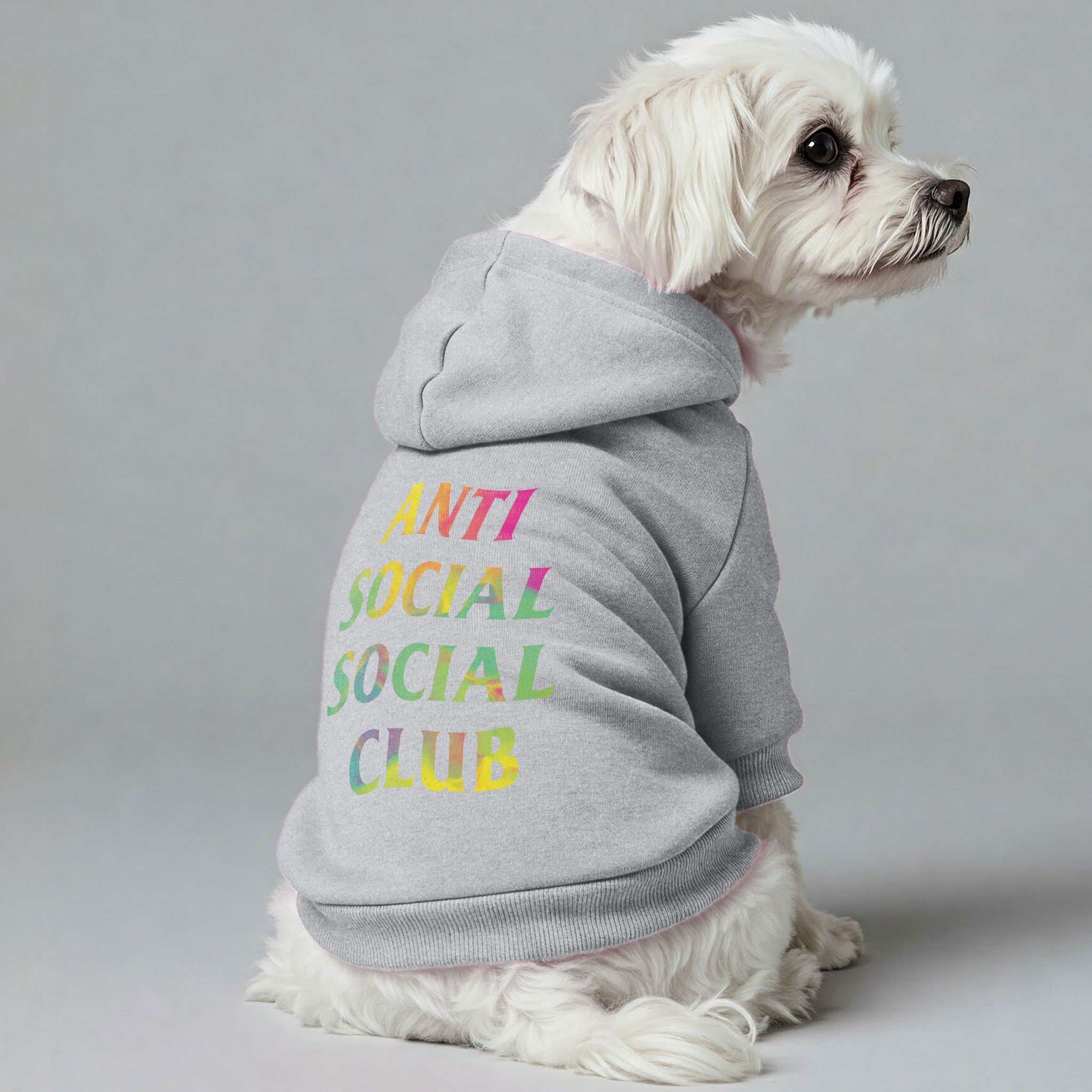 ANTI SOCAIL CLUB -Maltese Dog Hoodie