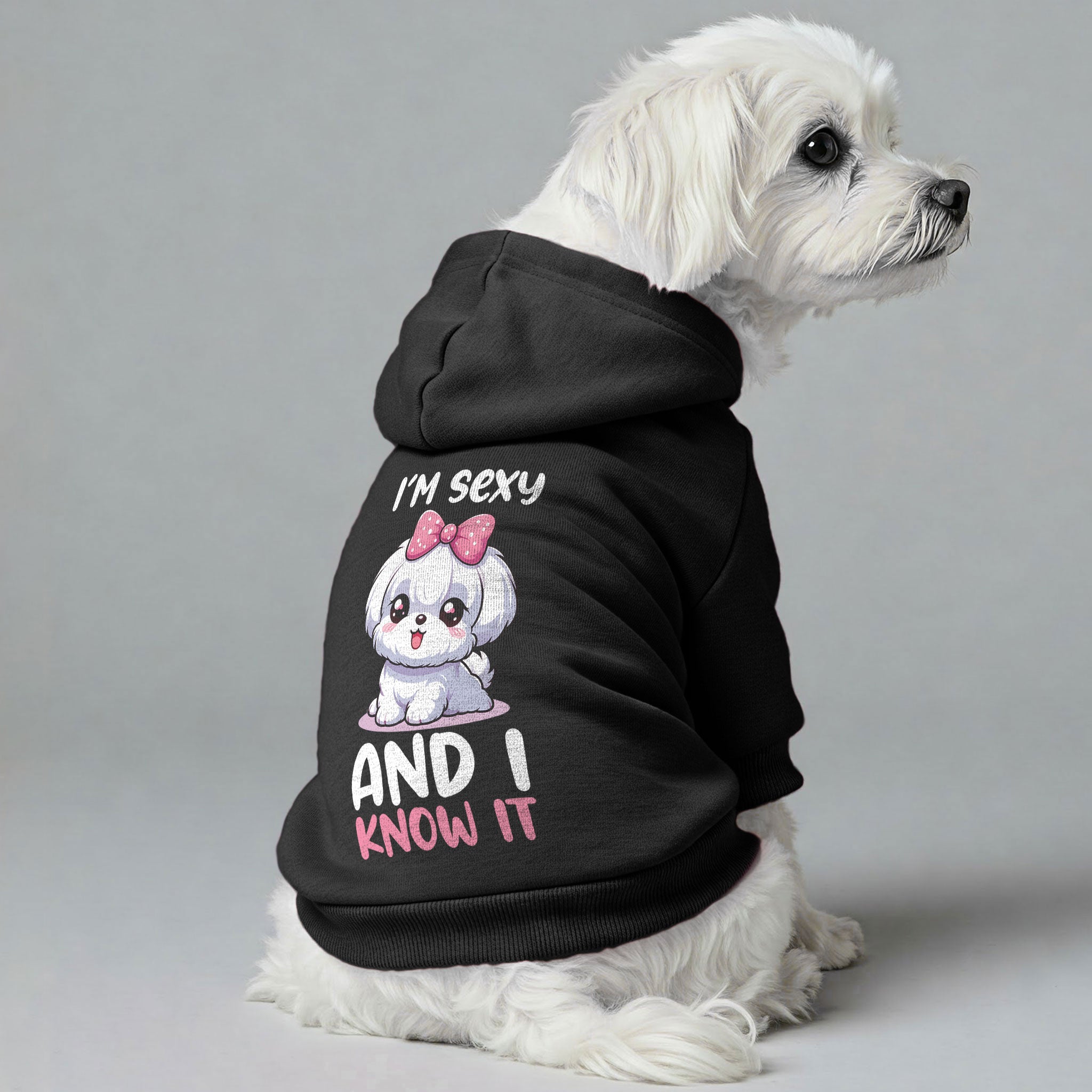 Im Sexy and I Know It - Maltese Dog Hoodie