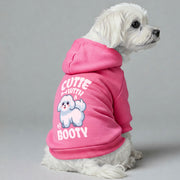 Maltese dog wearing a 'Cutie with a Booty' hoodie