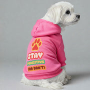 Maltese dog wearing a 'Stay Pawsitive' hoodie