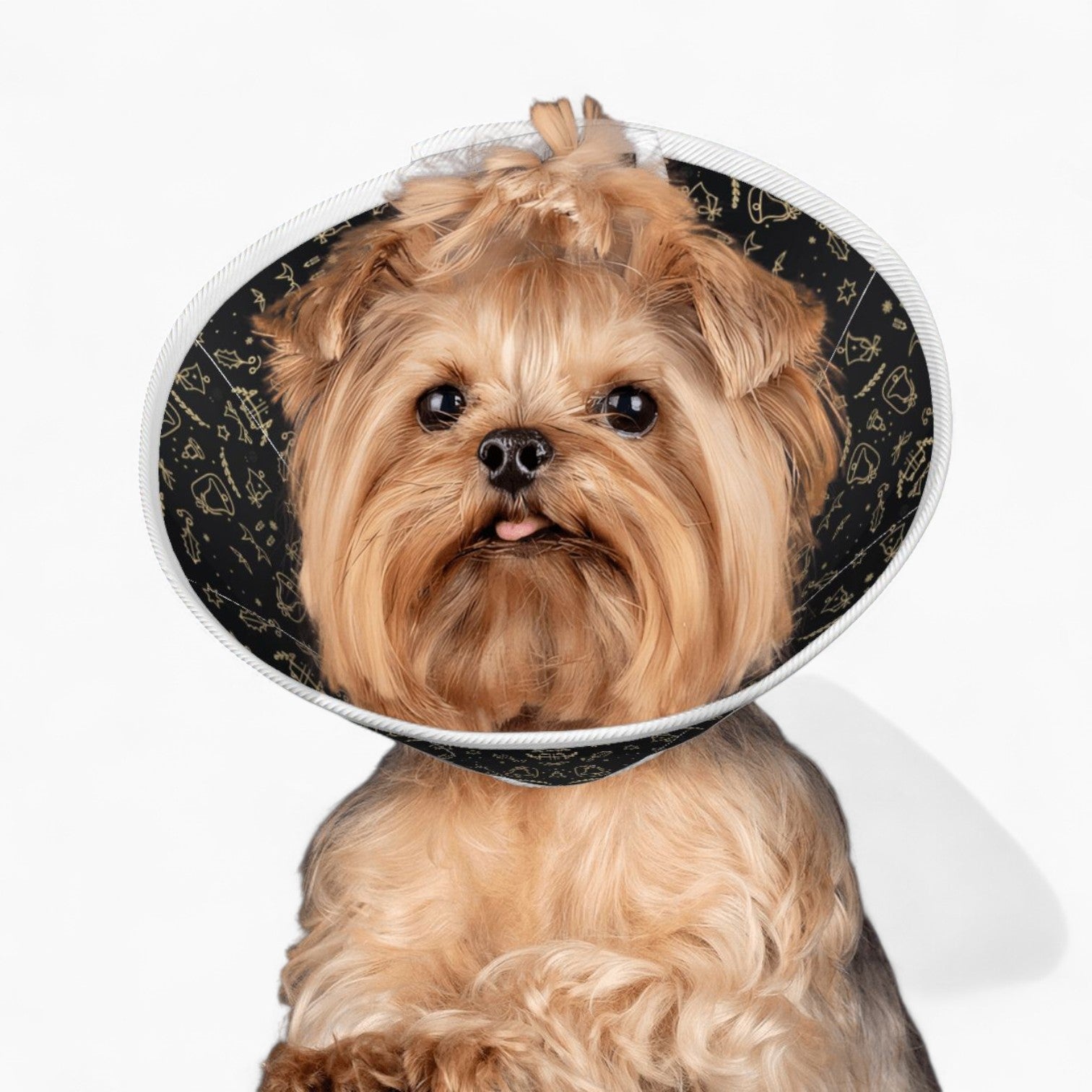 Nova - Soft Dog Cone & Elizabethan Collar