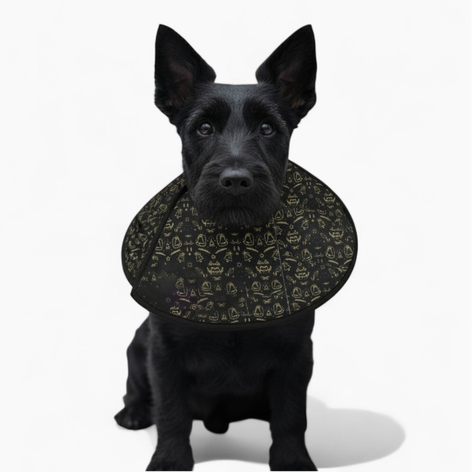 Nova - Soft Dog Cone & Elizabethan Collar
