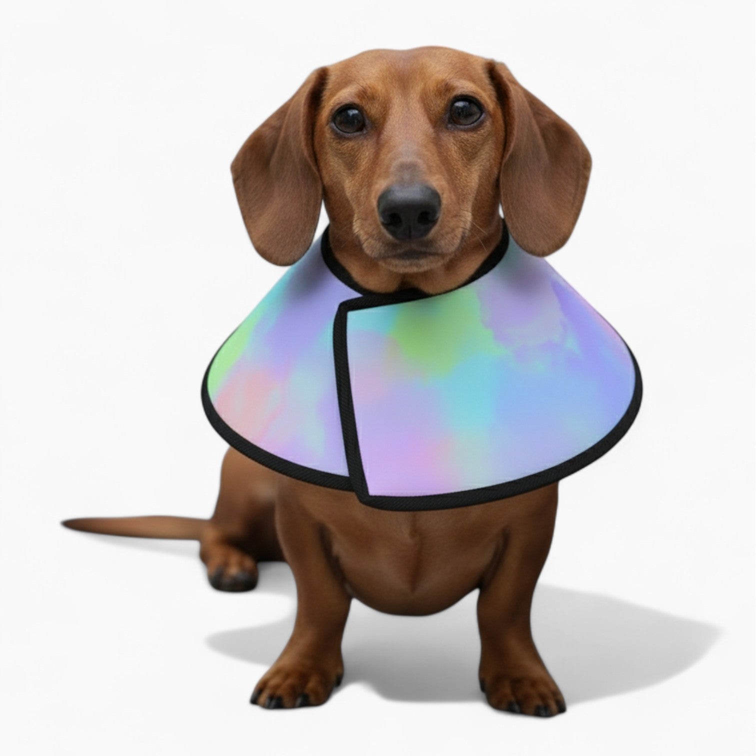 Angel - Soft Dog Cone & Elizabethan Collar