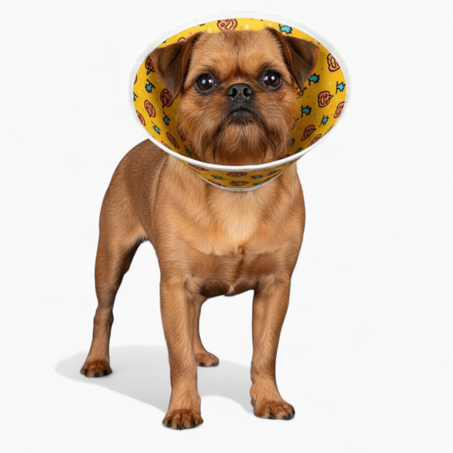 Zoey - Soft Dog Cone & Elizabethan Collar