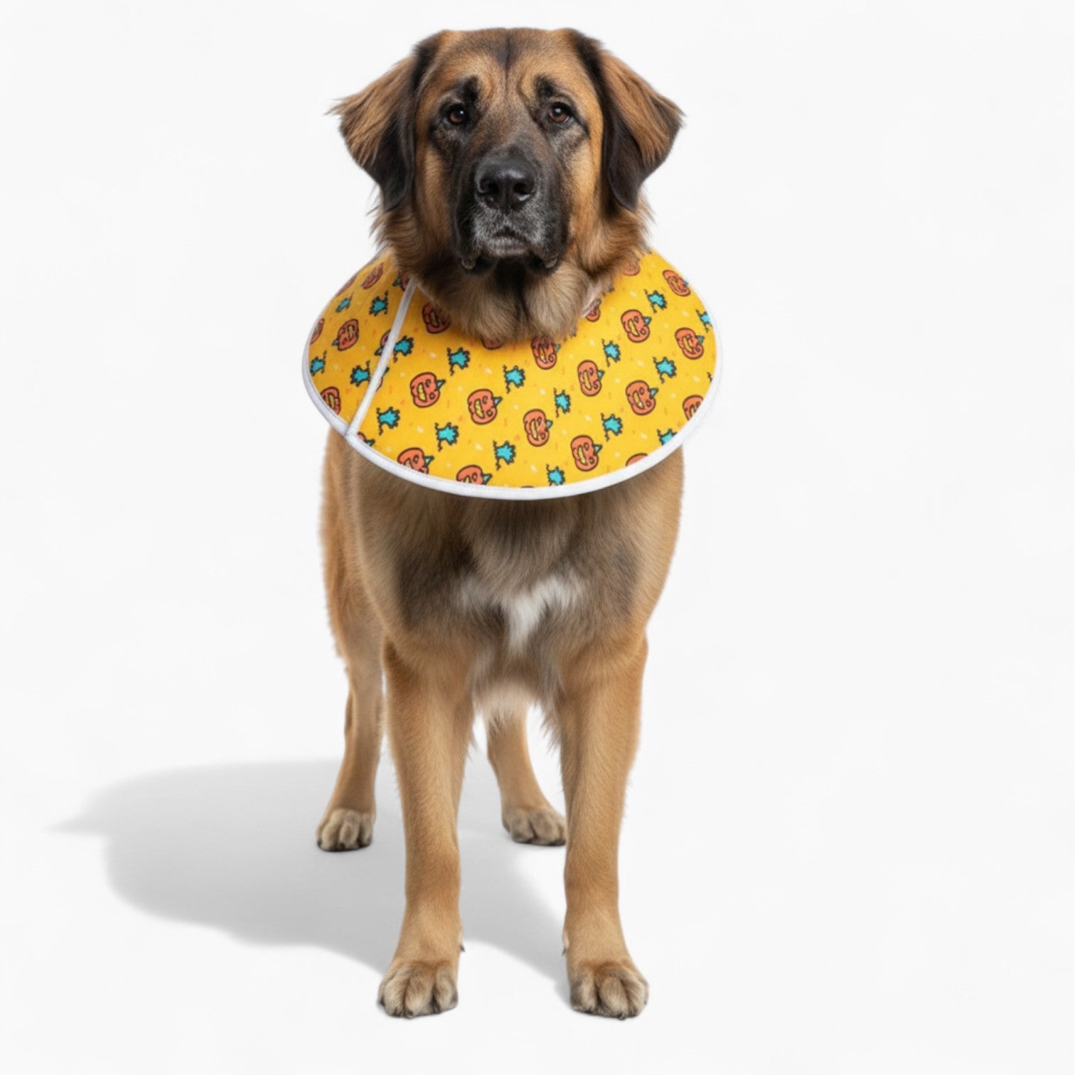 Zoey - Soft Dog Cone & Elizabethan Collar