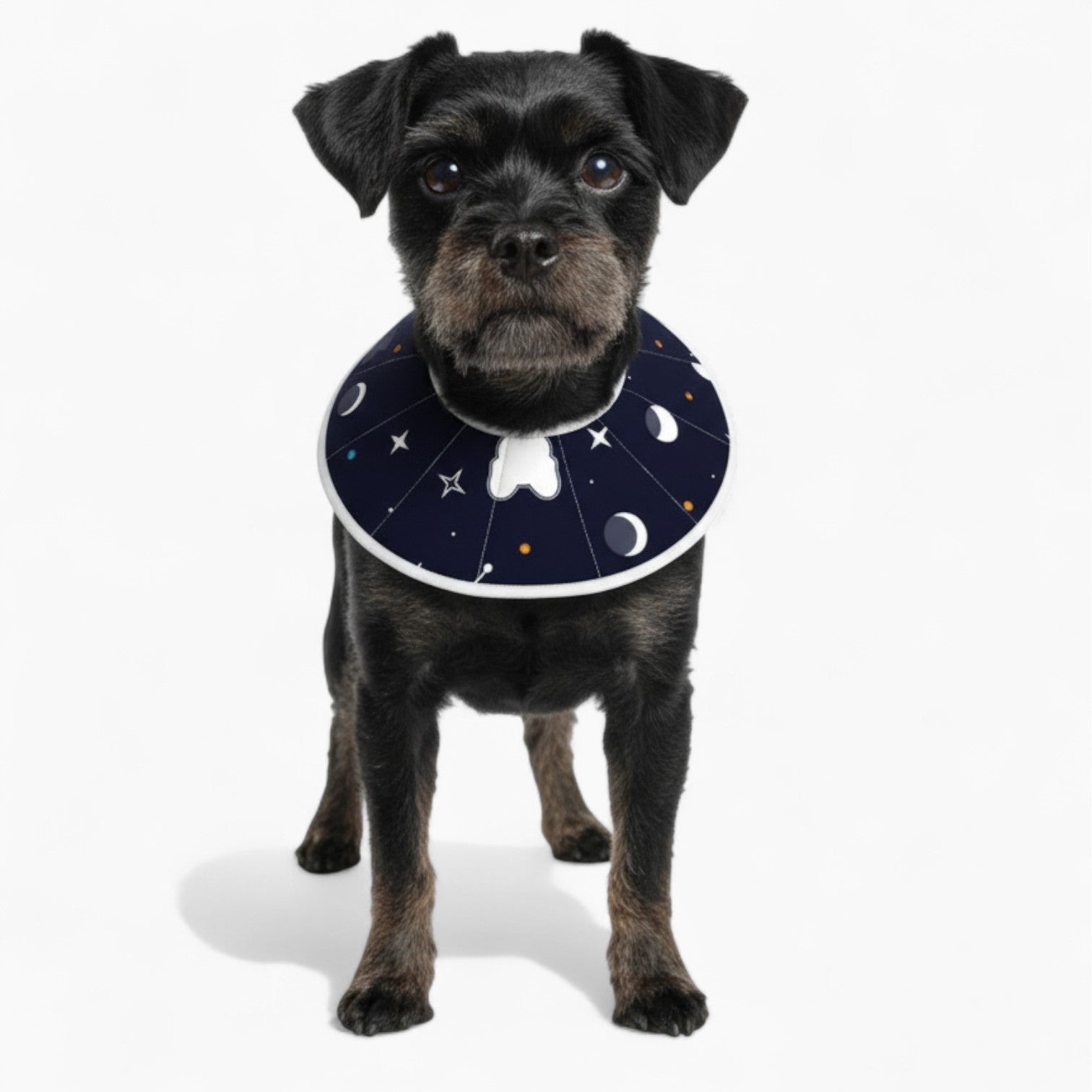 Lizy - Soft Dog Cone & Elizabethan Collar