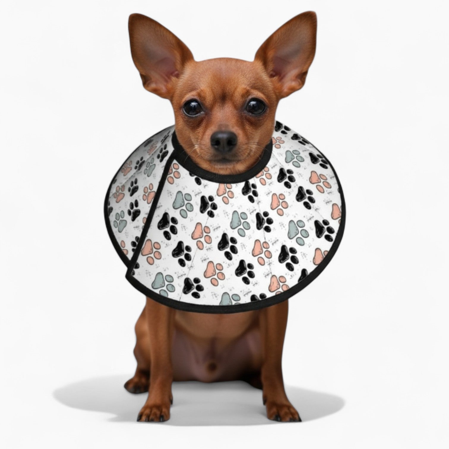 Lolita - Soft Dog Cone & Elizabethan Collar