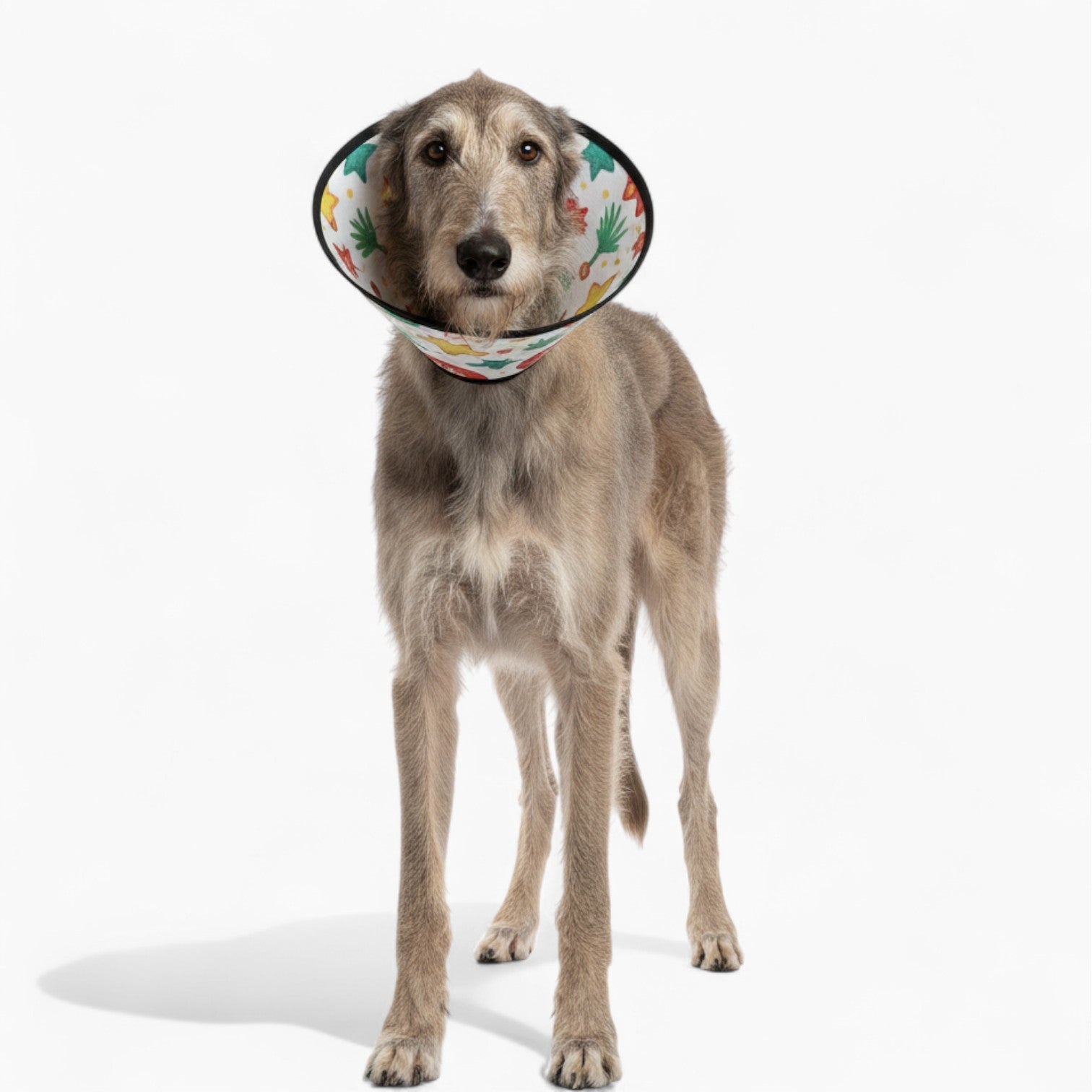 peanut - Soft Dog Cone & Elizabethan Collar