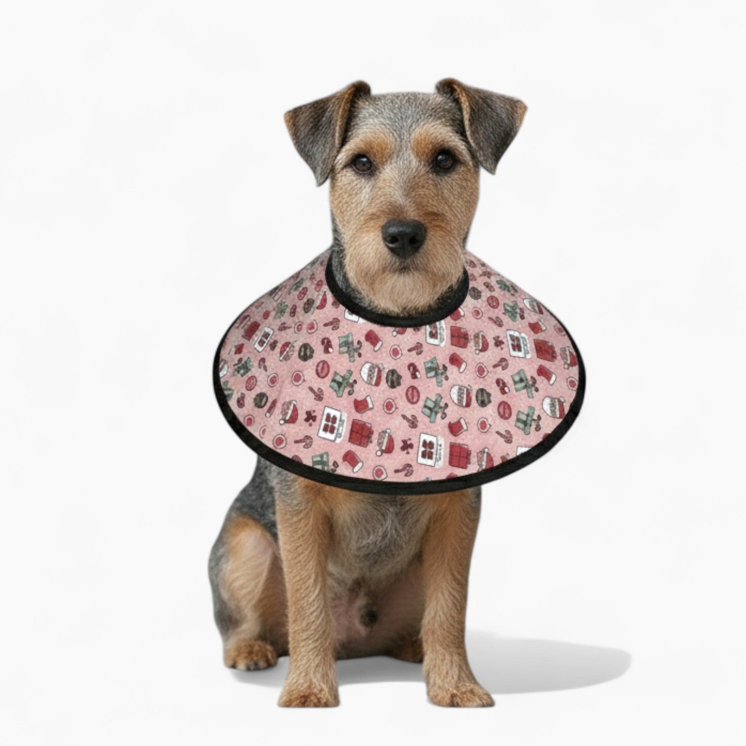 lvy - Soft Dog Cone & Elizabethan Collar