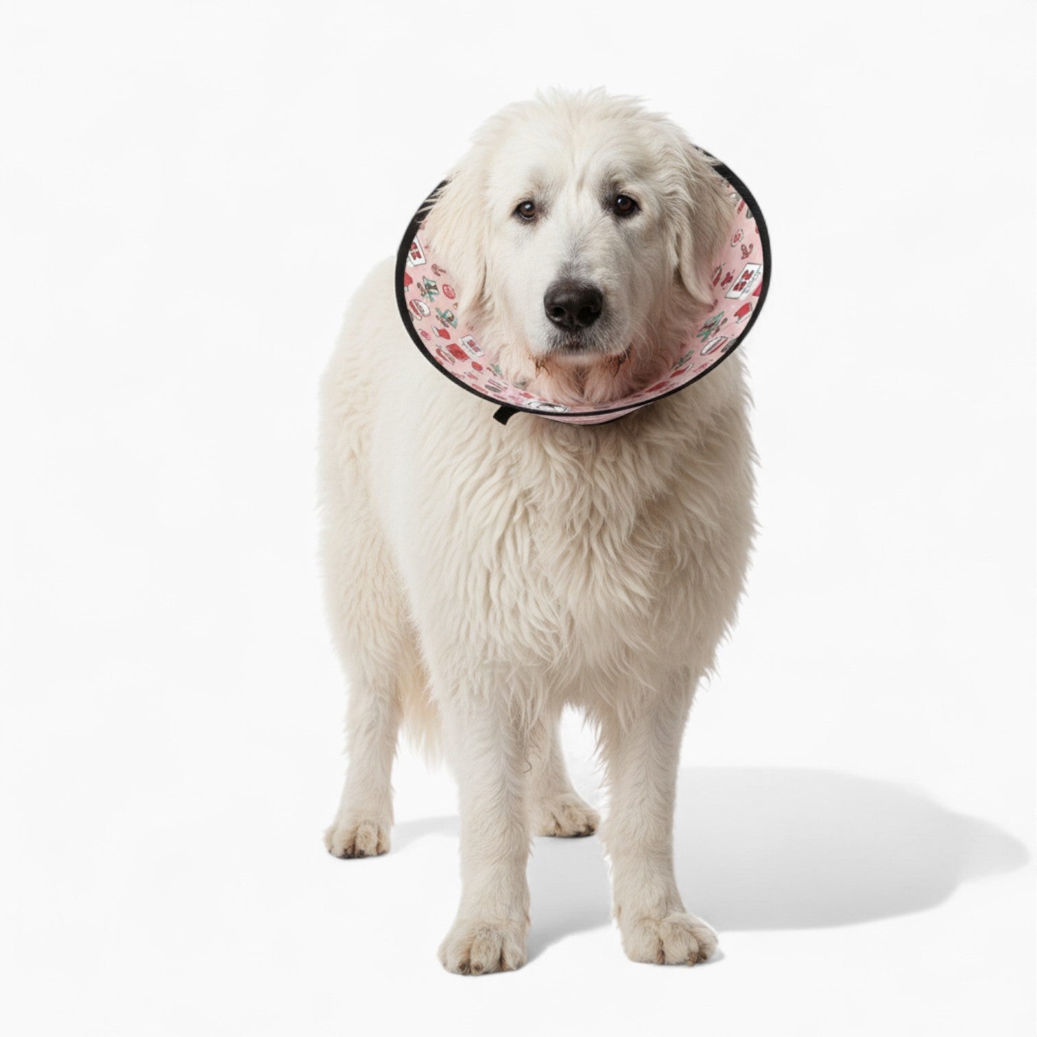 lvy - Soft Dog Cone & Elizabethan Collar