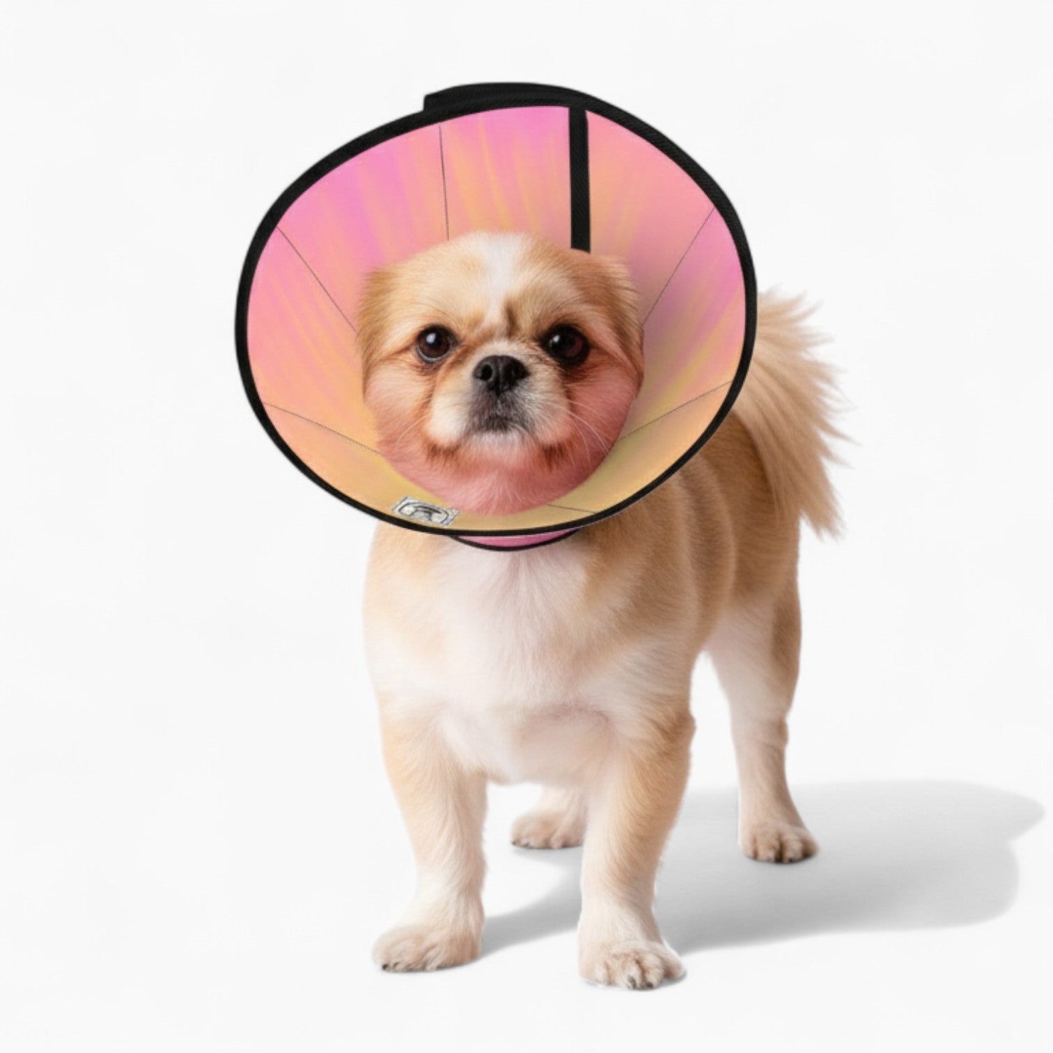 princess - Soft Dog Cone & Elizabethan Collar