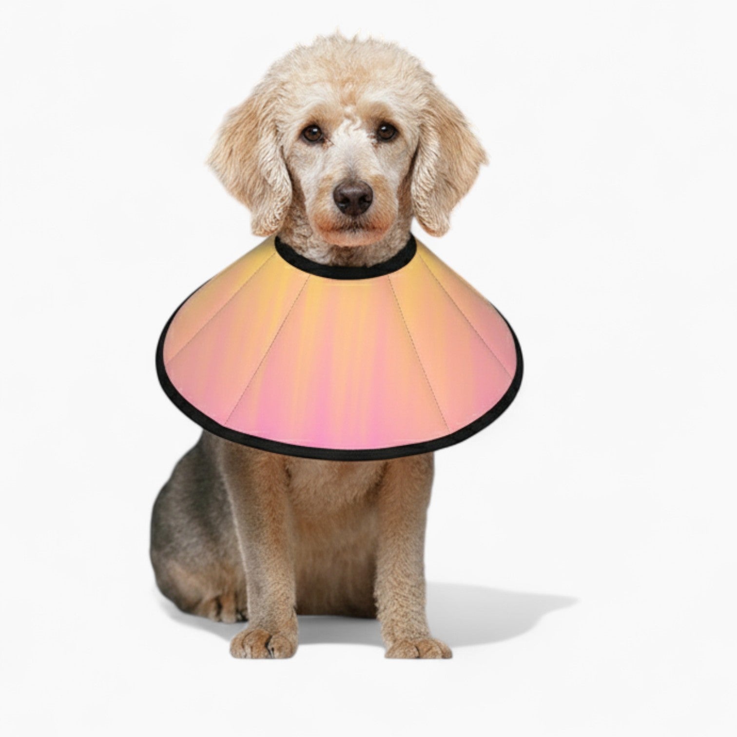 princess - Soft Dog Cone & Elizabethan Collar