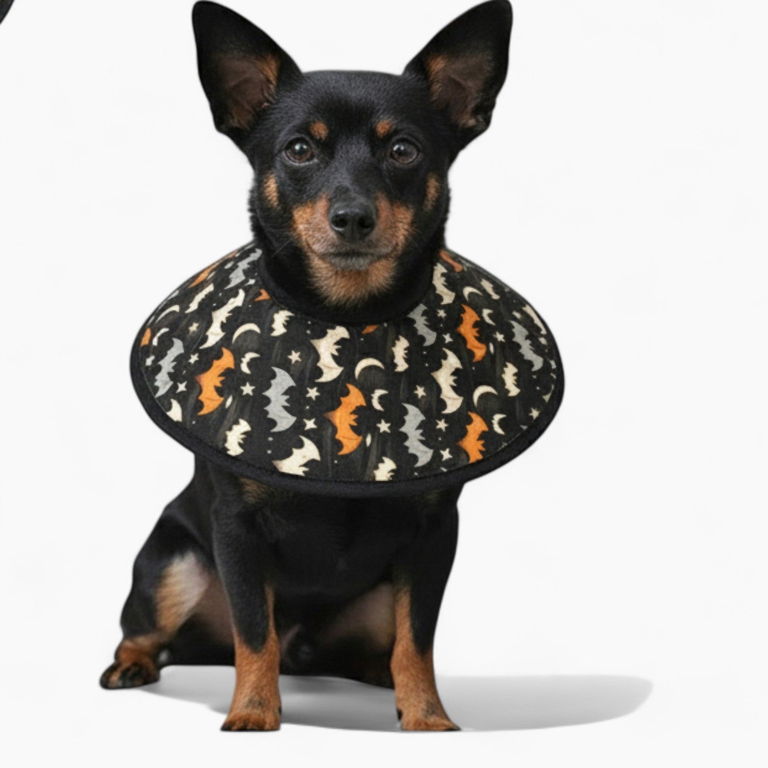 Zoya - Soft Dog Cone & Elizabethan Collar