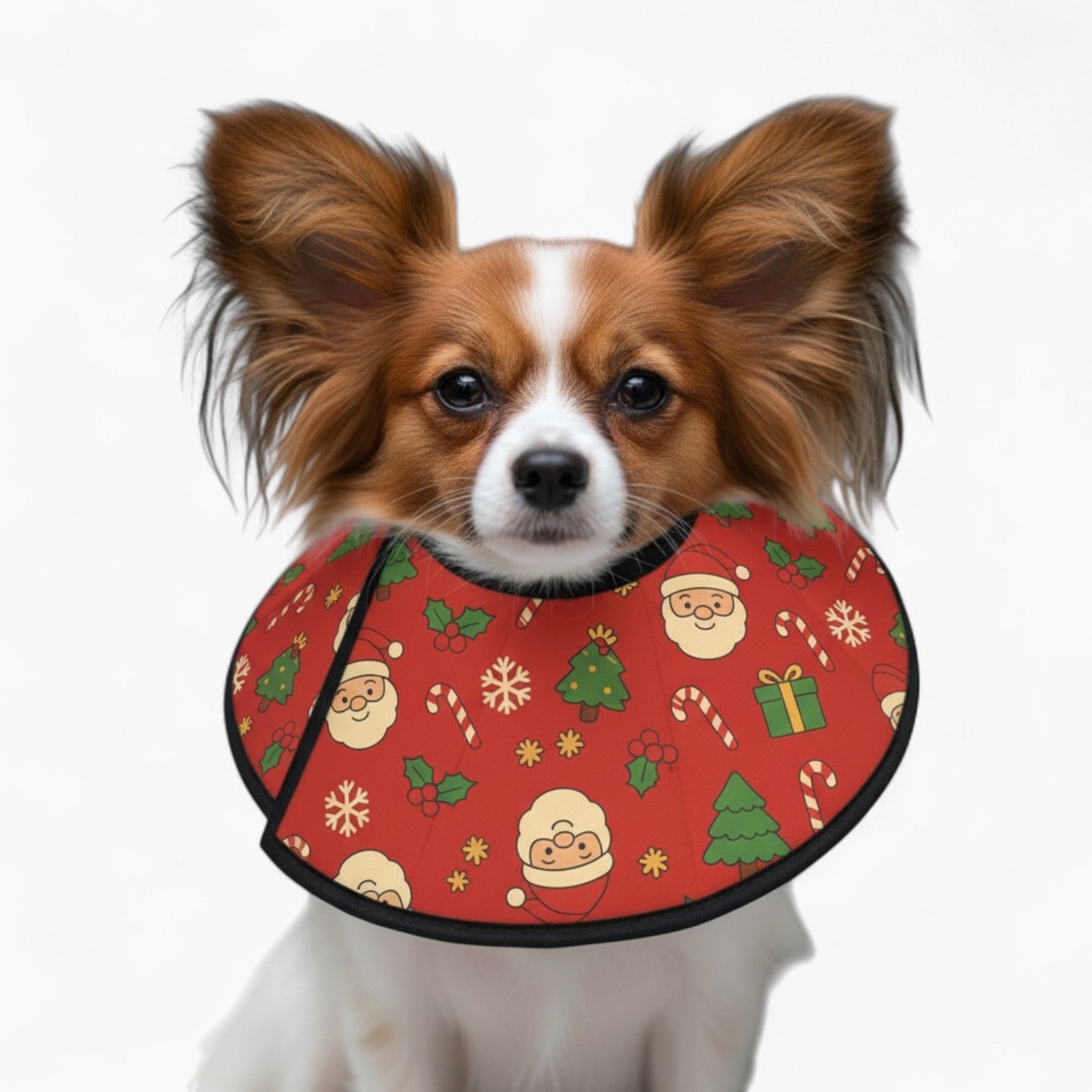 Maple - Soft Dog Cone & Elizabethan Collar