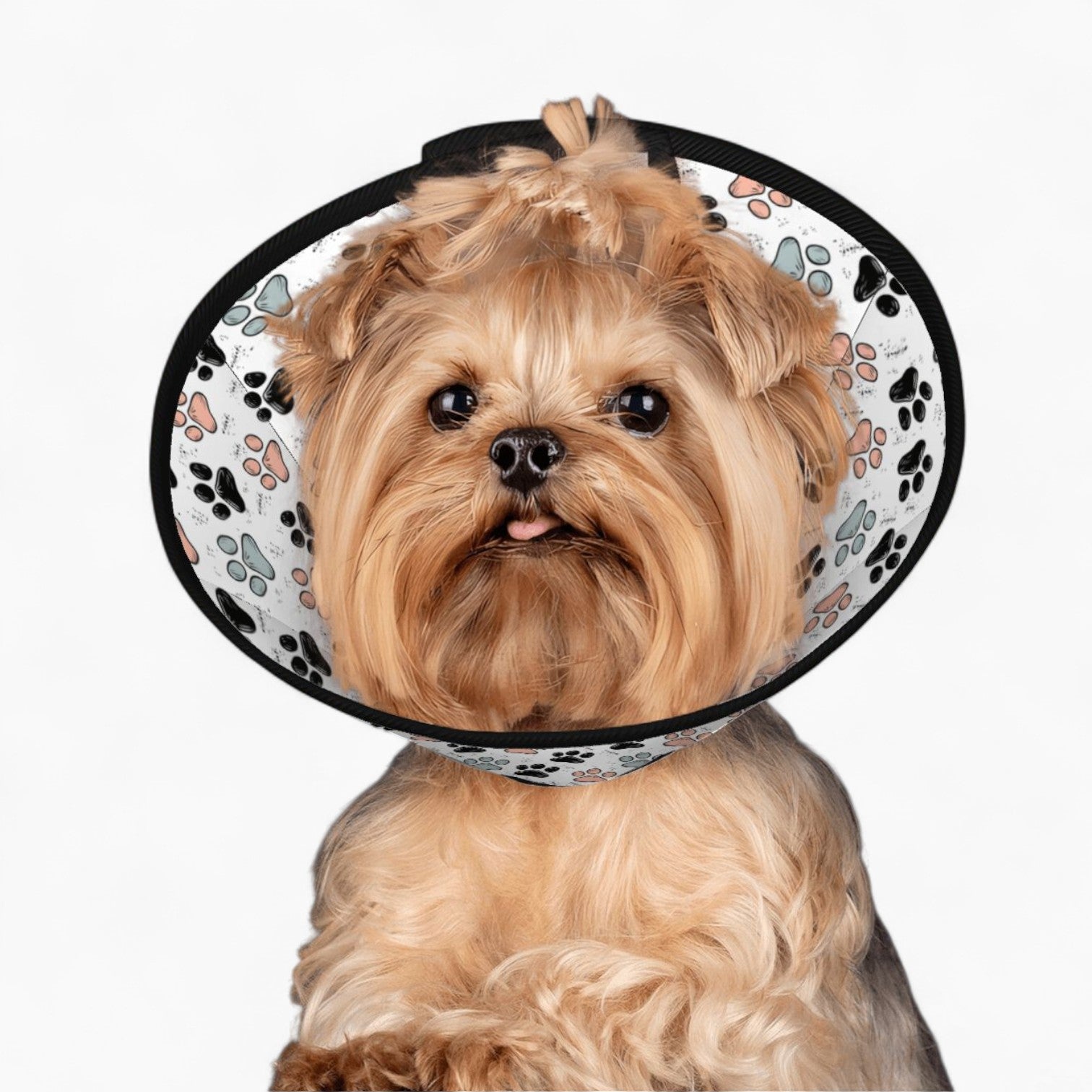 Lolita - Soft Dog Cone & Elizabethan Collar