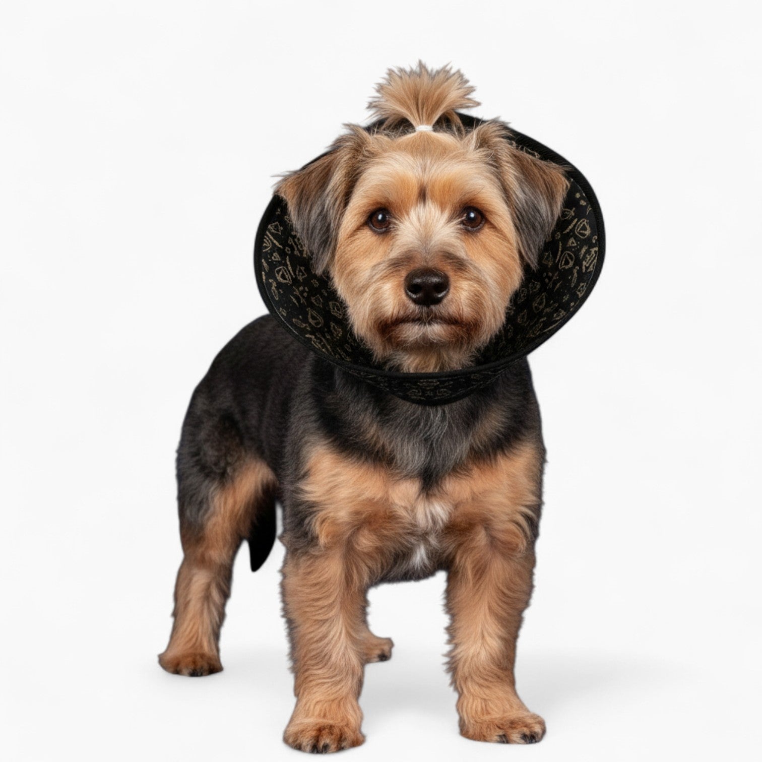 Nova - Soft Dog Cone & Elizabethan Collar