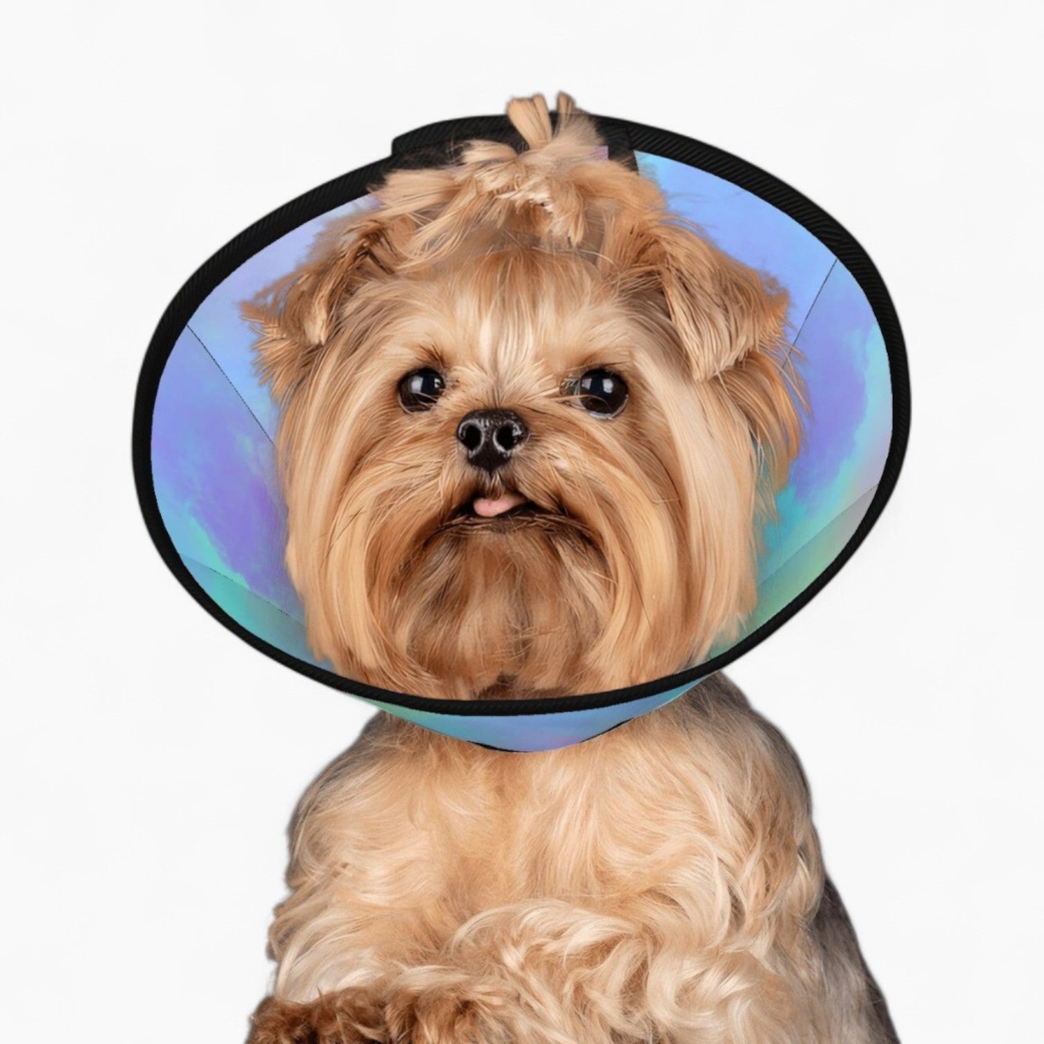 Angel - Soft Dog Cone & Elizabethan Collar