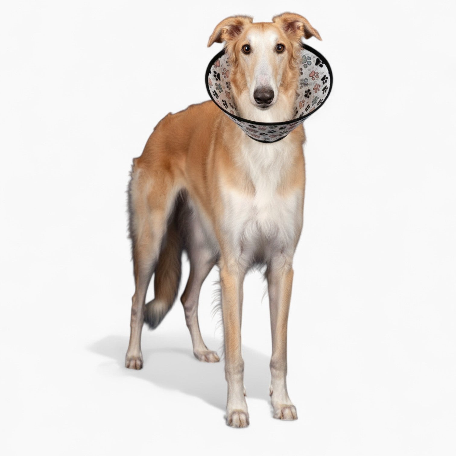 Lolita - Soft Dog Cone & Elizabethan Collar