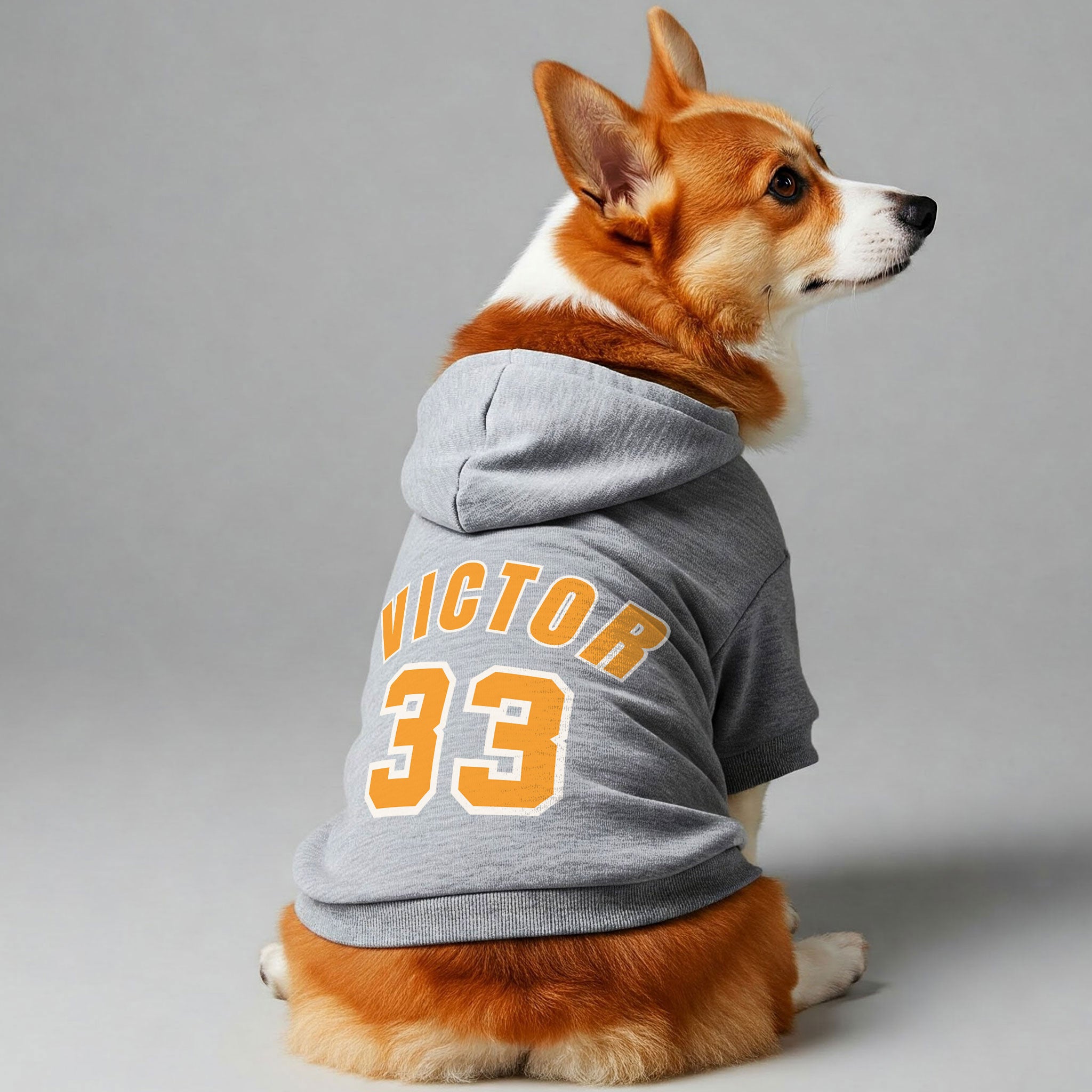 personalized dog hoodie​ with name and dog number