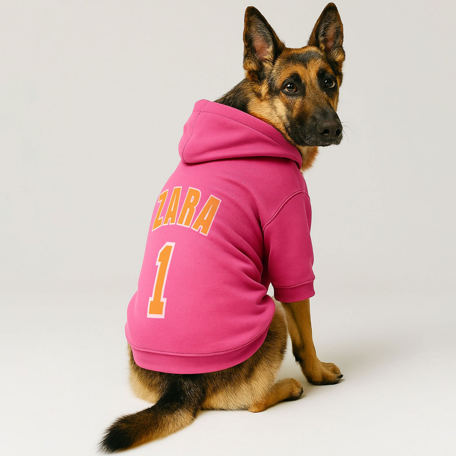 personalized hoodies for dog ​with custom name and number