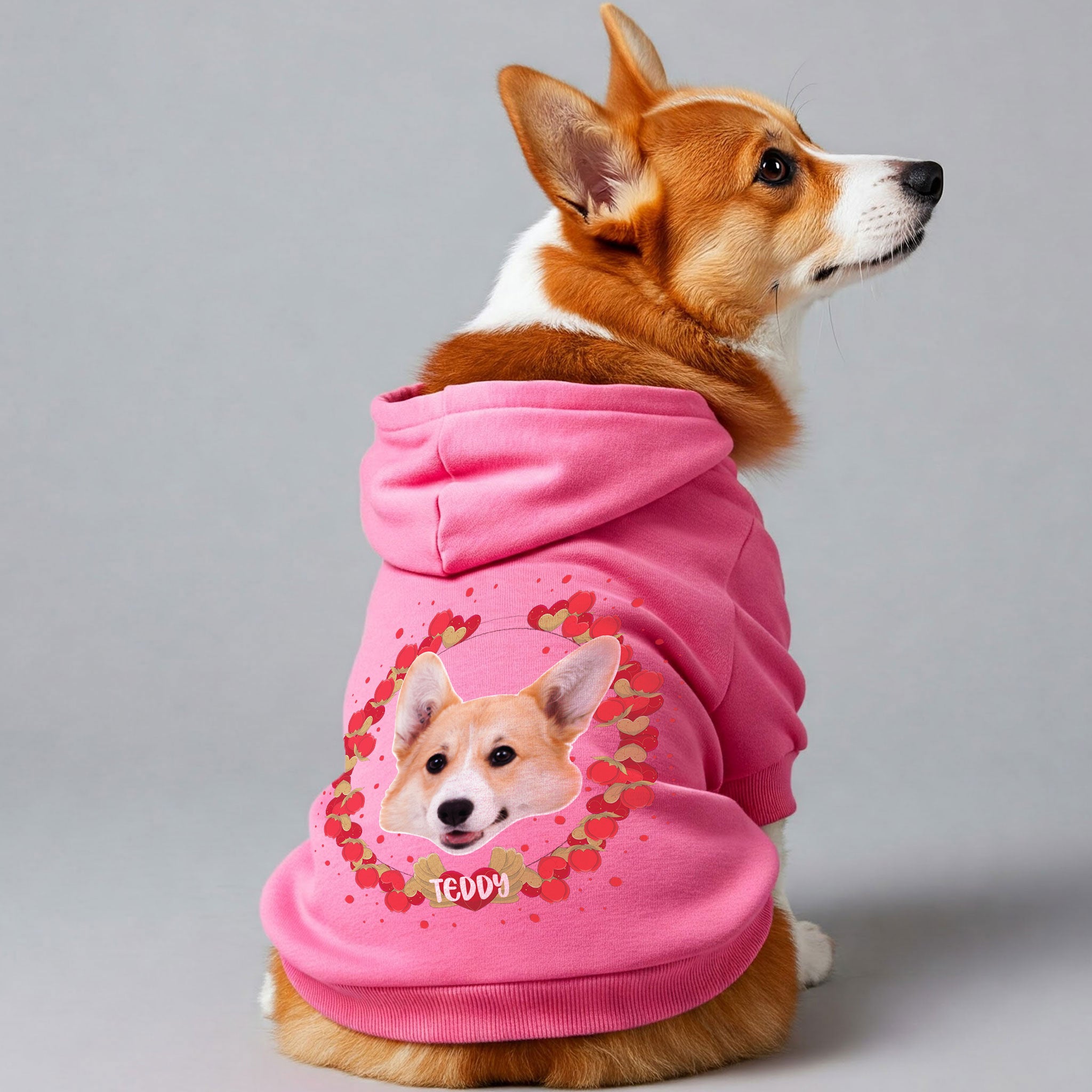 Hearts - Personalized hoodie with your dog’s name and Face– dog hoodie – dog clothes