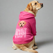 Labrador wearing a 'Legally Blonde & Lovin' It' hoodie