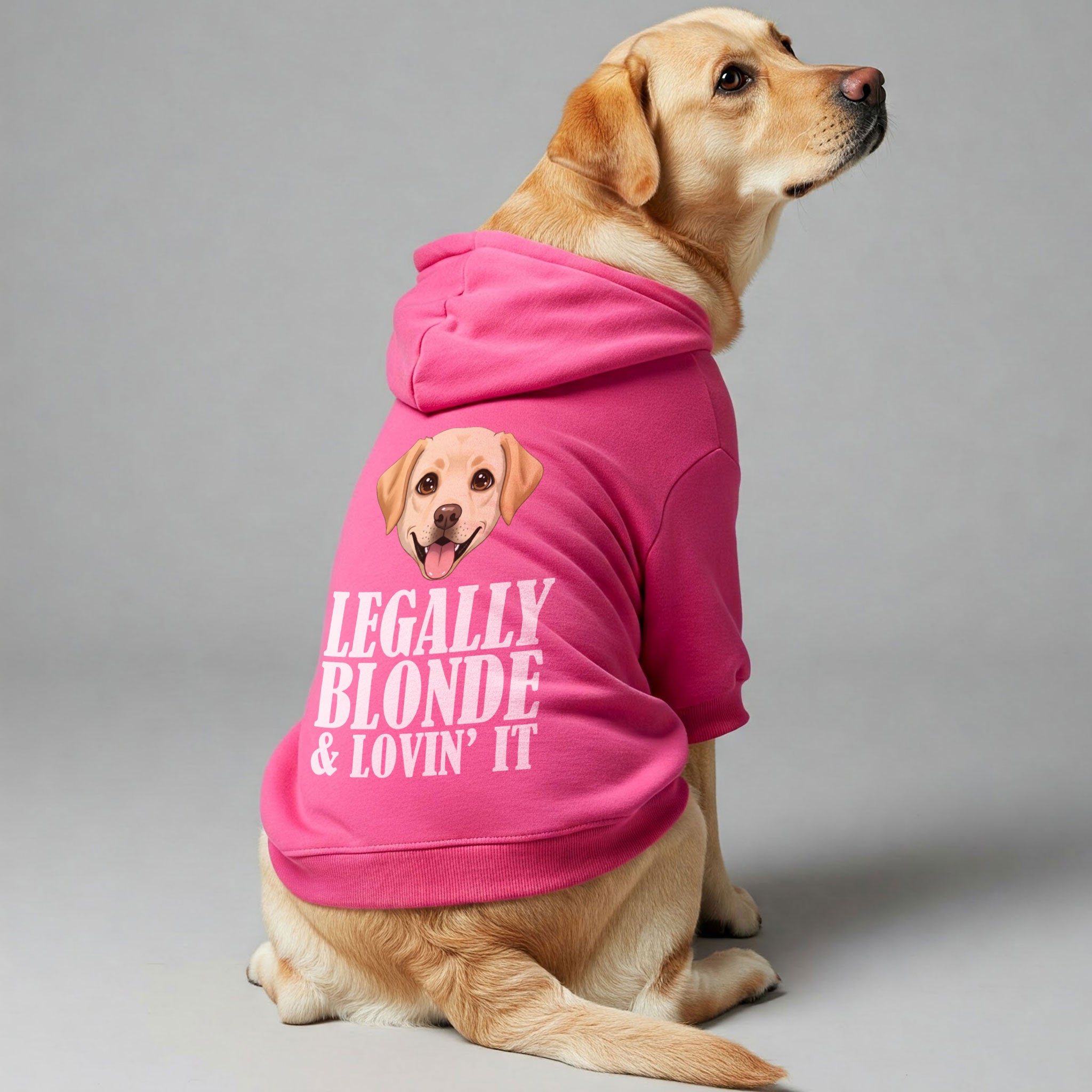 Legally Blonde & Lovin’ It - Labrador Hoodie - Dog Clothes