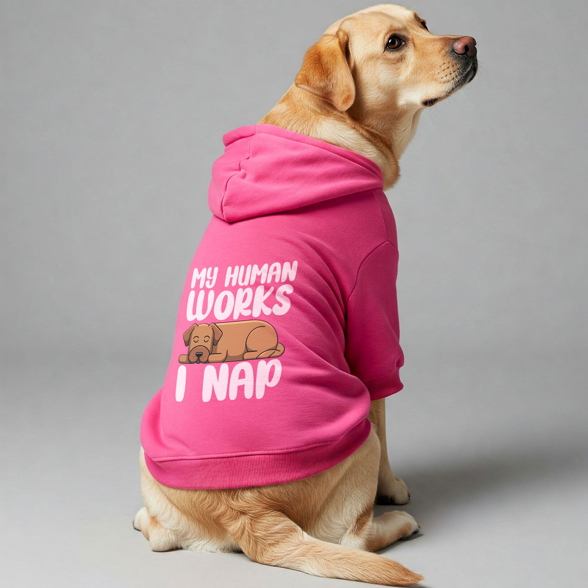 MY HUMAN WORKS, I NAP - Labrador Hoodie - Dog Clothes