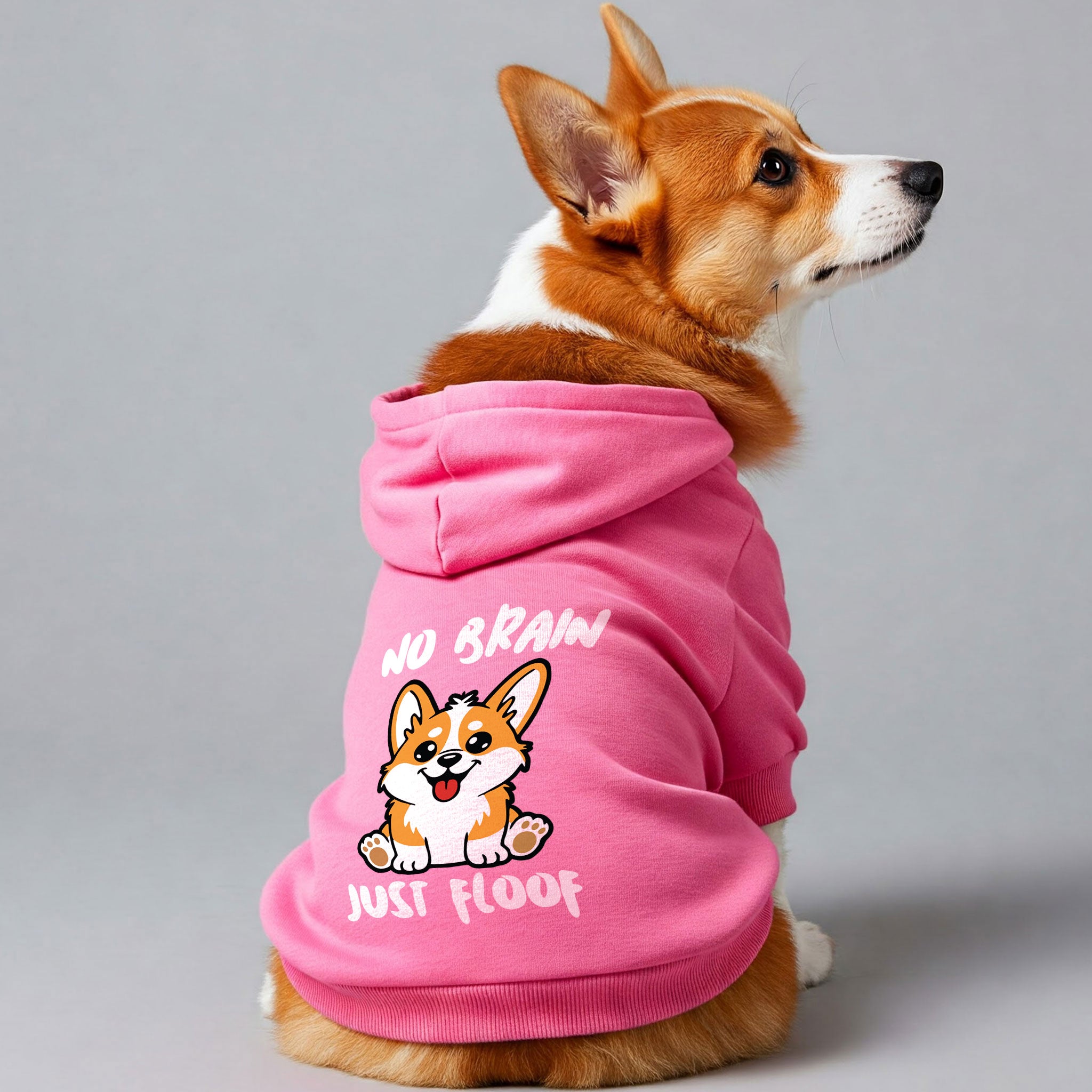 No Brain, Just Floof - Corgi Hoodie - Dog Clothes