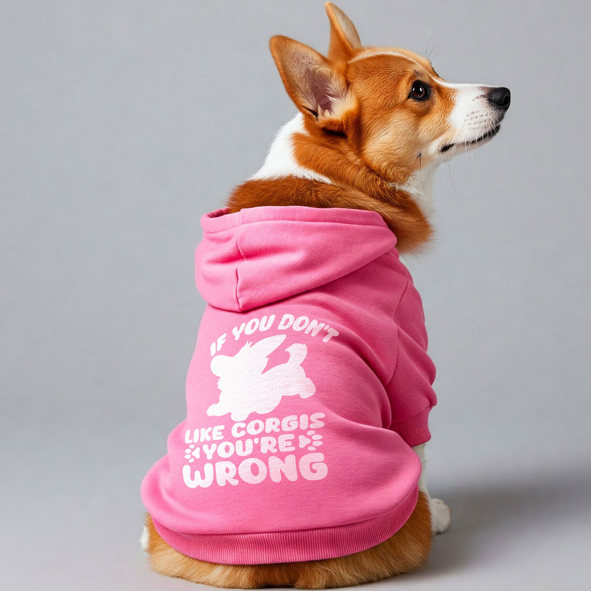 If You Don’t Like Corgis, You’re Wrong - Corgi Hoodie - Dog Clothes