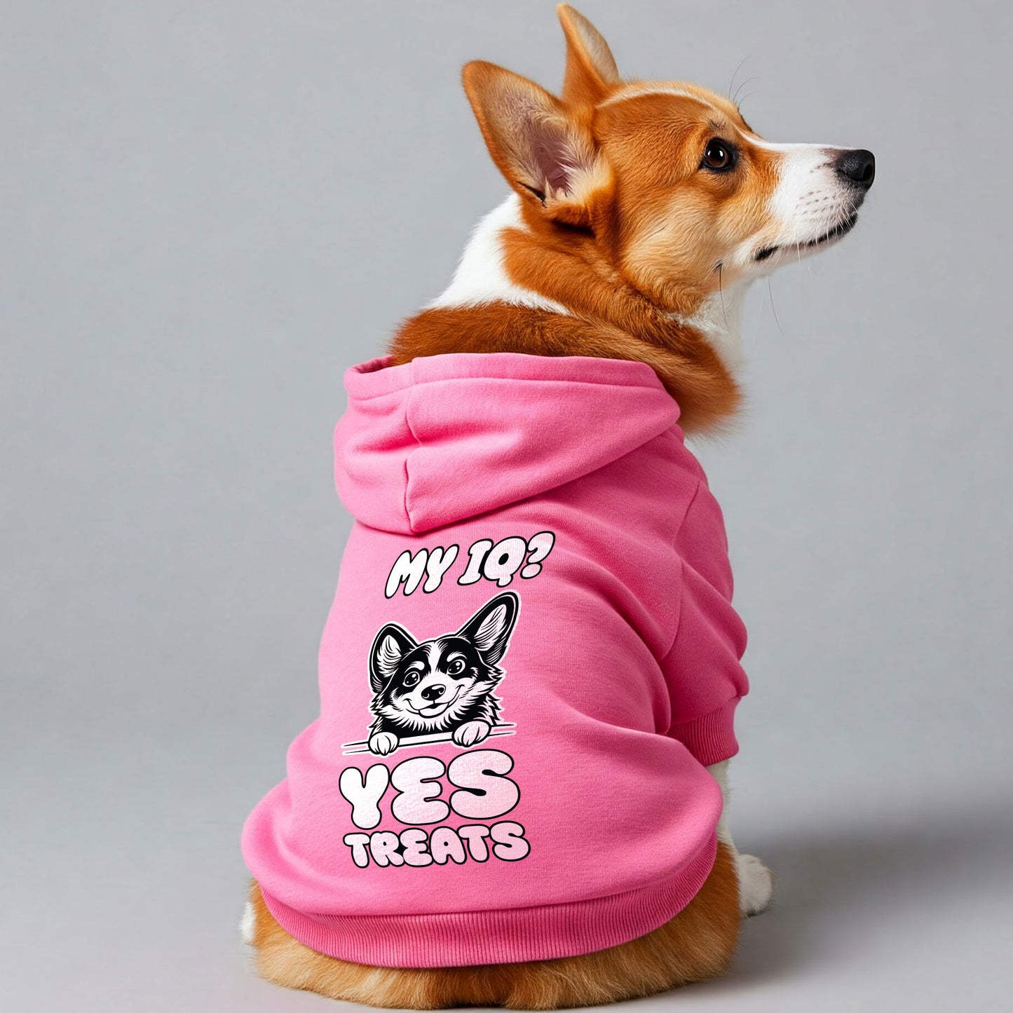My IQ? Yes, Treats - Corgi Hoodie - Dog Clothes