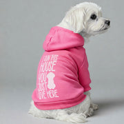 Maltese dog wearing an 'I Run This House' hoodie