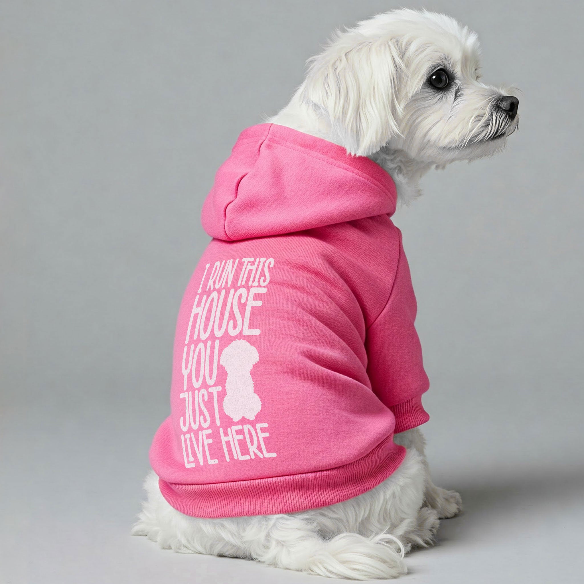 I run this house, you just live here – still cute  - Maltese Dog Hoodie