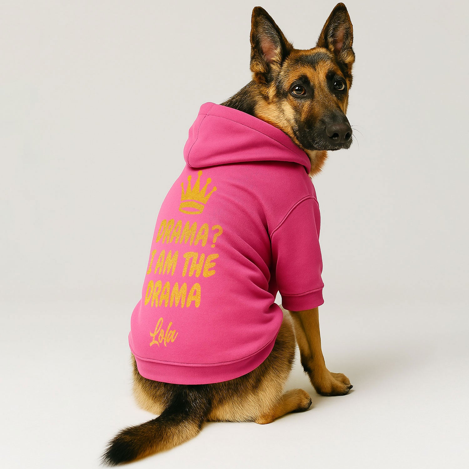 Drama? I Am the Drama - personalized hoodie with your dog name – dog hoodie – dog clothes