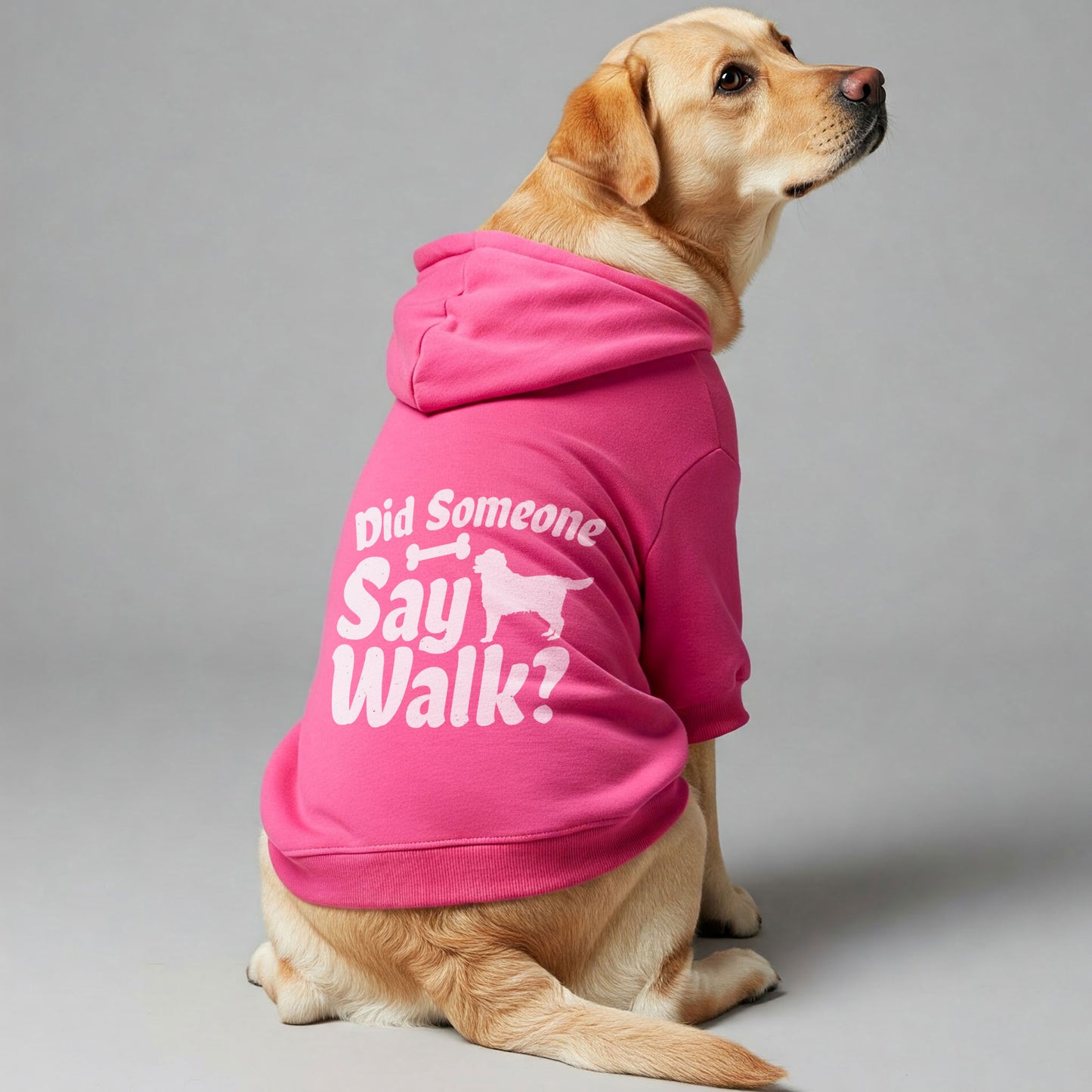Did Someone Say Walk? - Labrador Hoodie - Dog Clothes